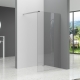 C-LINE WALK IN tuš stijena 1000x1950mm - prozirno staklo, krom